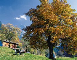 Allgäu: Hoher Süden