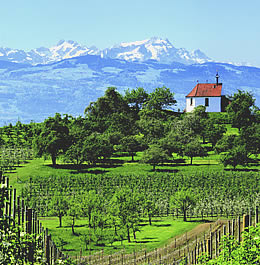 Allgäu: Nonnenhorn/Weinberg