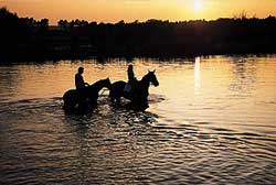 Reiten im Altmühltal bei Sonnenuntergang