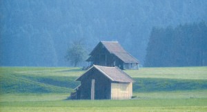 Landscape in Parson's Corner
