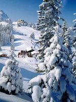 Urlaub in der Zugspitzregion: Winter Kreuzeck 
