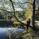 Bayerischer Wald: Kleiner Arbersee