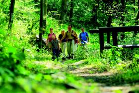 Wandern im Frankenwald