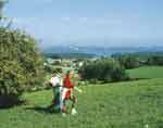 Franken Wandertouren: Fr&auml;nkisches Seenland