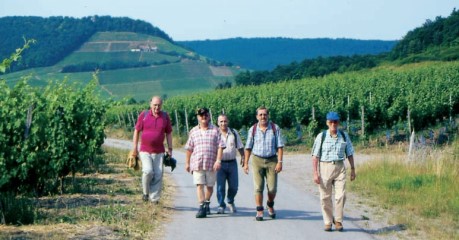Franken Wanderregionen: Steigerwald