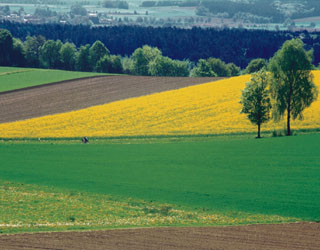 Bayerisch Schwaben: Dinkelscherben Reischenau