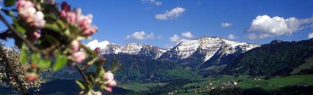Bergblick in Oberstaufen Bergblick in Oberstaufen