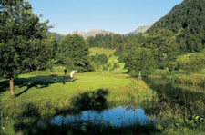 Golfplatz Steibis