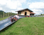 Sommerrodelbahn am H&uuml;ndle