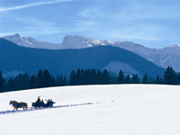 Urlaub in den verschneiten Ammergauer Alpen: Winterurlaub in den Ammergauer Alpen, &copy; Ammergauer Alpen GmbH, Oberammergau Tourismus