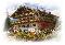 Logo Ferienwohnungen Haus B�rner am Tegernsee