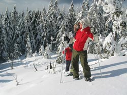 Fichtelgebirge: Winterwandern