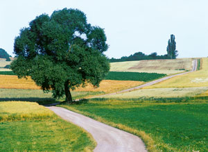 Landscape in the Hass Mountains