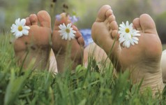 Franken Wanderregionen: Spessart Main Odenwald