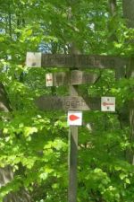 Steigerwald: Wandern