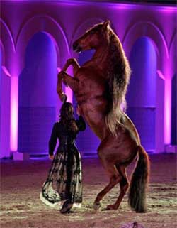 Clémence Faivre mit einem Pferd