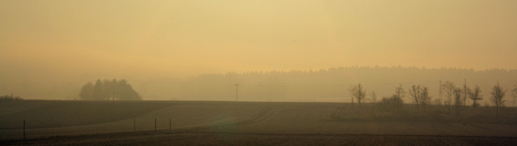 Novemberstimmung im Landkreis Fürstenfeldbruck, bei Puchheim