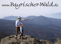 Bayerischer Wald