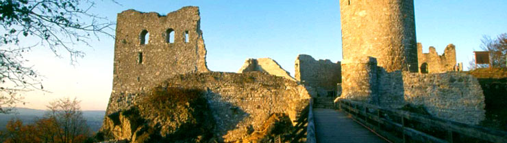 Burgruine Wolfstein Burgruine Wolfstein