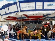 Pemperlprater