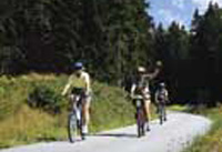 Mountainbiken im Bayerischen Wald
