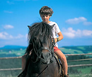 Reiten in Bayern im Sommerurlaub