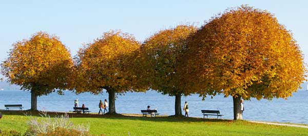Tutzing Tutzing Reise, Tutzing Urlaub, Tutzing Hotel