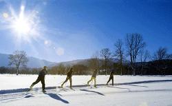 Langlauf im T&ouml;llzer Land