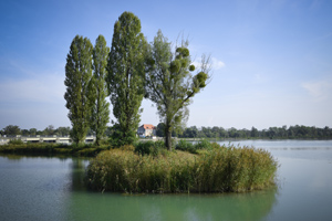 Stauseeinsel im Naturium Ering