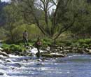 Oberpfälzer Wald: Angeln