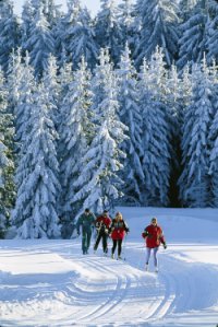 Langlauf im Oberpf&auml;lzer Wald
