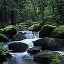 Oberpfälzer Wald Urlaub: Lerautal