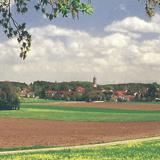 Steinh&ouml;ring