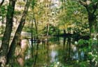 Hannewackeldudelsee