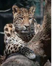 Augsburger Zoo