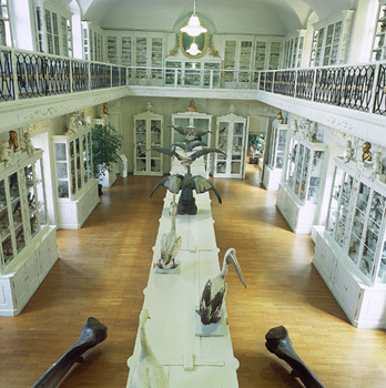 Naturkundemuseum