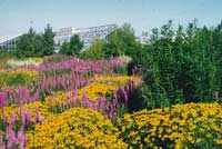 Botanischer Garten Botanischer Garten