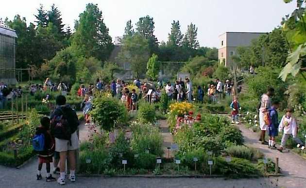 Botanischer Garten