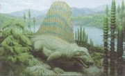 Museum Mensch und Natur Museum Mensch und Natur