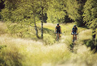 Mountainbiken und Mountainbiketouren im Frankenwald
