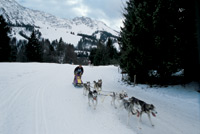 Winter Aktivurlaub in Bayern