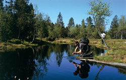 Natur nahe Oberreuthe