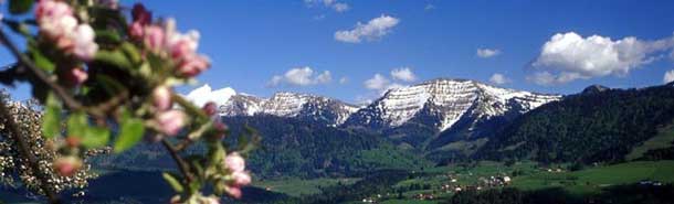 Bergblick in Oberstaufen