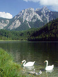 Schwansee