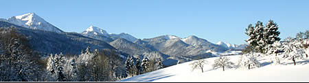 Bergpanorama_Siegsdorf