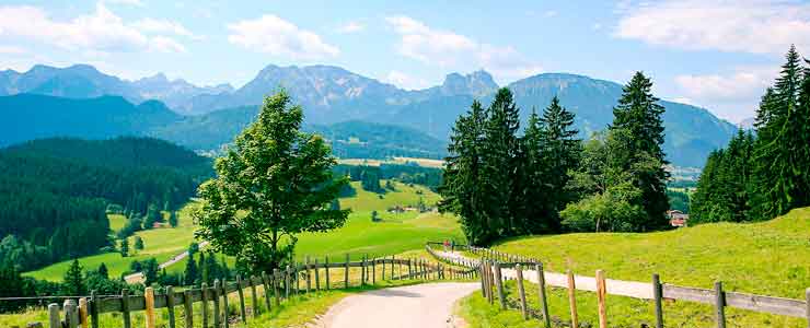 Blick auf Allgäuer Berge 