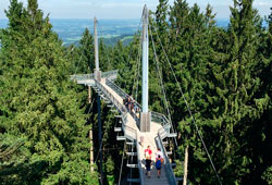 Skywalk Allgäu - Hlzbrücke und Pfeiler