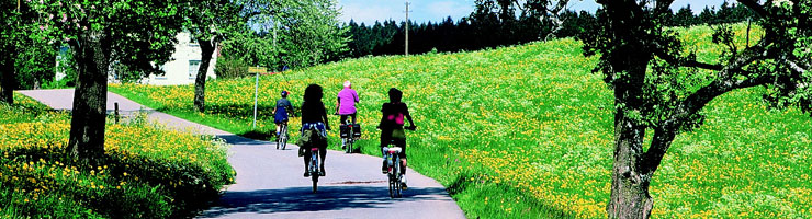 Radwege, Radwandern, Radtouren in Niederbayern