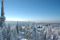 Fichtelgebirge: Ochsenkopfgipfel im Winter