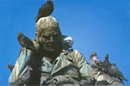 Ha&szlig;berge: R&uuml;ckert-Denkmal